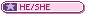 he/she pronouns button