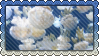 jellyfishstamp